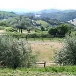 Montefiorentino * Frontino