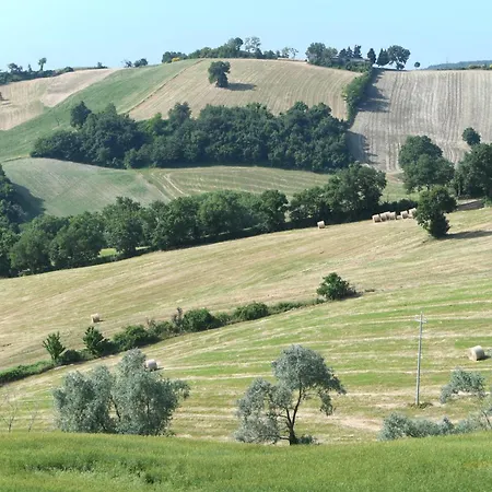 Montefiorentino