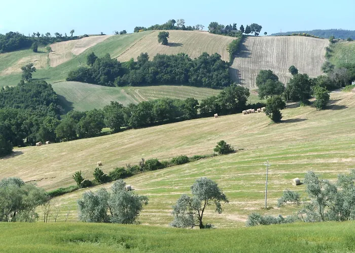 Montefiorentino