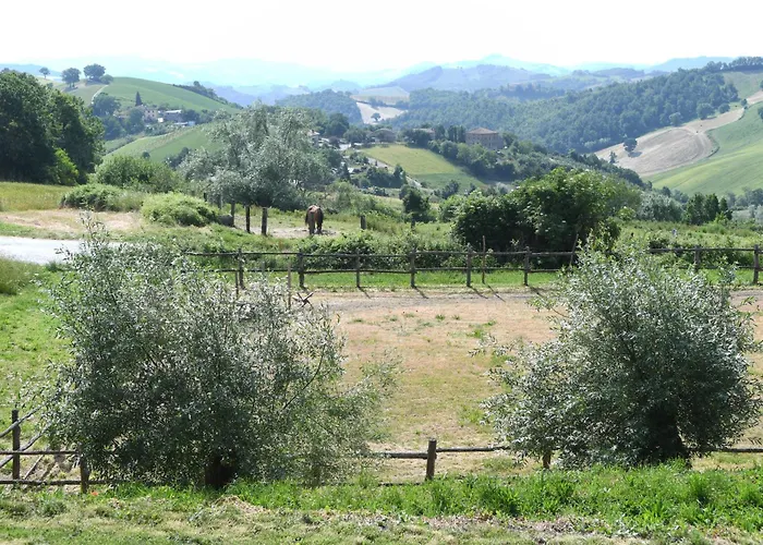 Montefiorentino * Frontino