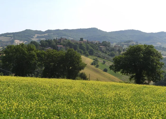 Montefiorentino Frontino